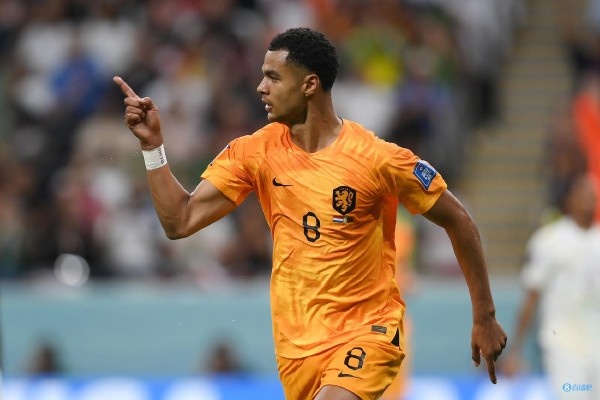 完美平台 -关于英超窗口期走向成谜,波特兰开拓者篮板制胜,气氛紧张,球探报告显示潜力的信息